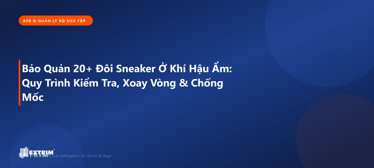 Bảo Quản 20+ Đôi Sneaker Ở Khí Hậu Ẩm: Quy Trình Kiểm Tra, Xoay Vòng & Chống Mốc