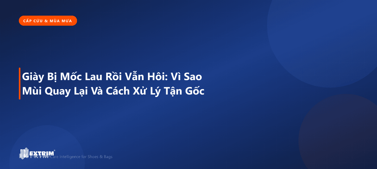 Giày Bị Mốc Lau Rồi Vẫn Hôi: Vì Sao Mùi Quay Lại Và Cách Xử Lý Tận Gốc